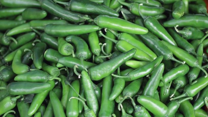 কাঁচা লঙ্কার ঝাল অনেকের শরীরের জন্য ভালো নয়