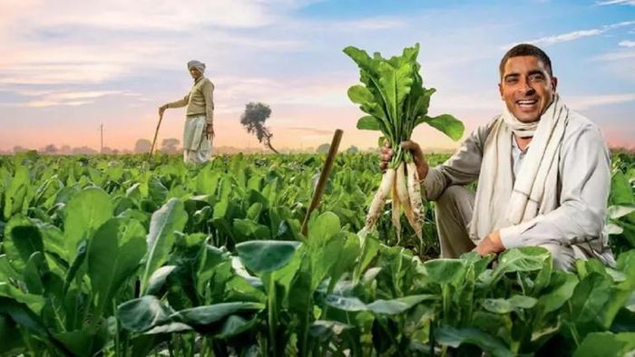 PM Kisan-এর টাকা কবে? ৫ দিন পরই আসতে পারে সুখবর