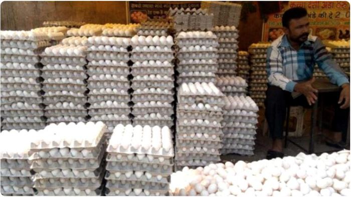 গোটা ফেব্রুয়ারি মাসজুড়েই নিম্নমুখী রয়েছে পোল্ট্রির মুরগির ডিমের দাম। বিগত এক মাসে প্রায় ১০০ টাকা সস্তা হয়েছে ডিম।