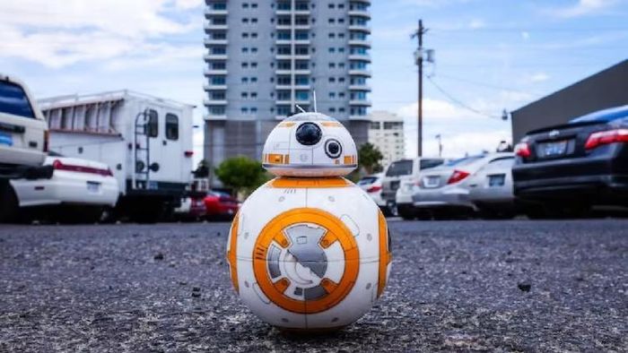 ফাইল ছবি।