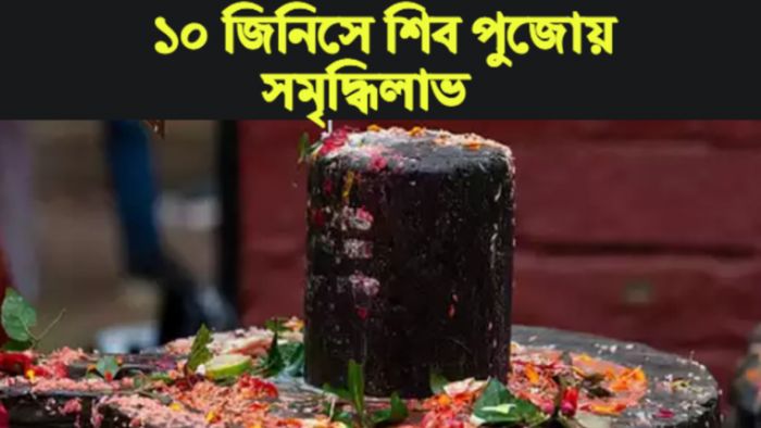 Maha Shivratri 2023 মহাশিবরাত্রি ২০২৩।