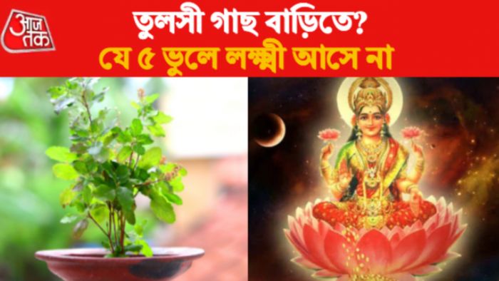 তুলসীর বাস্তু টিপস।