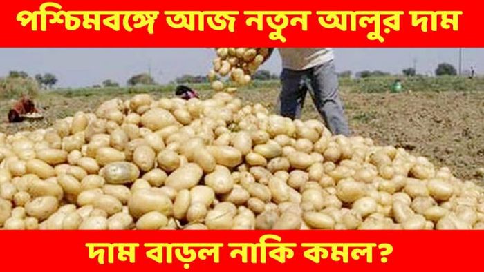 আজ নতুন আলুর দাম কত