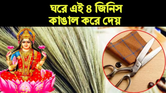 Vastu Tips: বাস্তু টিপস।