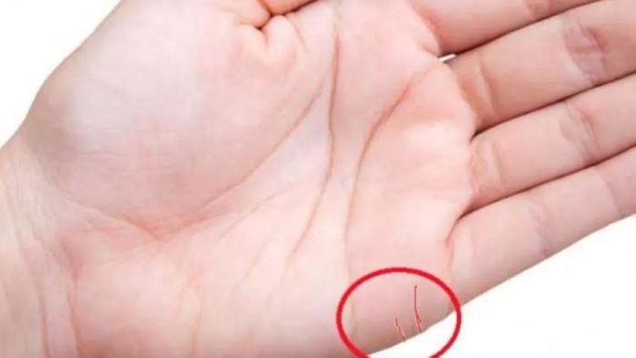 হাতের এই চিহ্নগুলি দুর্ভাগ্য ডেকে আনে, প্রতি পদে সমস্য়ায় পড়তে হয়