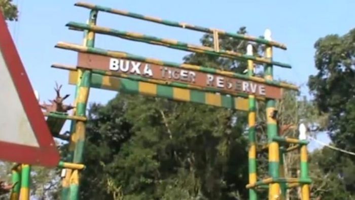 হাতির হানায় মাধ্যমিক পরীক্ষার্থীর মৃত্যুর জের, বক্সার জঙ্গলে নিষিদ্ধ মোটরবাইক