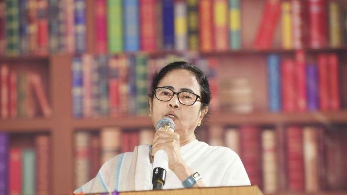 ফাইল ছবি।