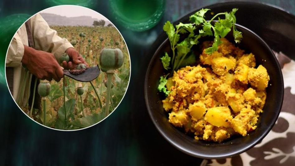 অতি সুস্বাদু, তবু কেন পোস্ত চাষ হয় না বাংলায়-কেন এত দাম? রইল কারণ অতি সুস্বাদু, তবু কেন পোস্ত চাষ হয় না বাংলায়-কেন এত দাম? রইল কারণ