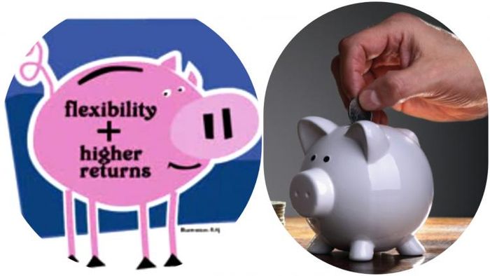 সেভিংস অ্যাকাউন্টেই পাবেন FD-র মতো চড়া সুদ।