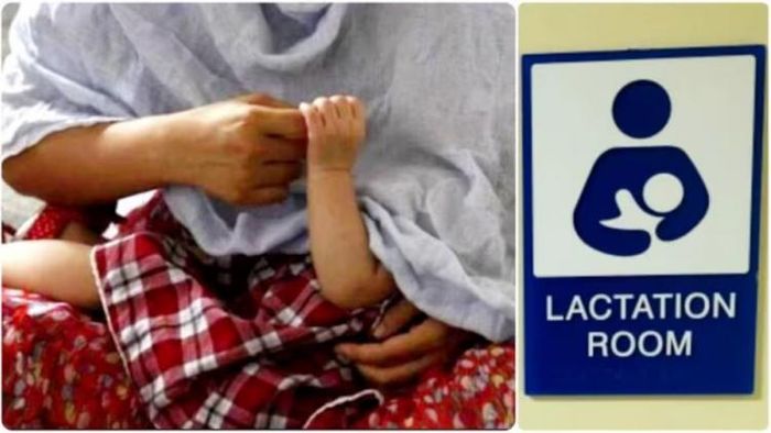 ফাইল ছবি।