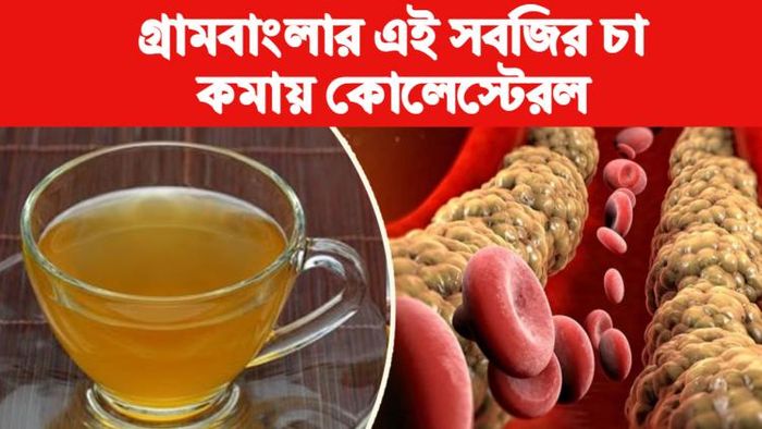 cholesterol control tips