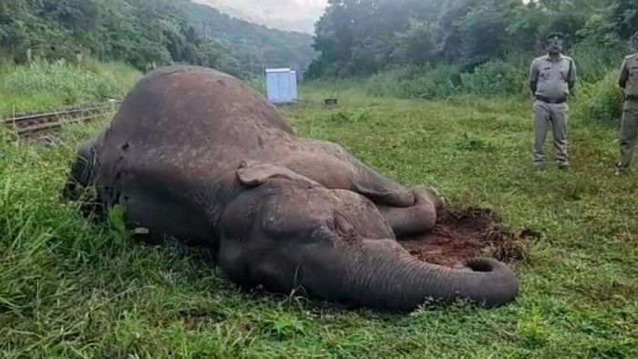 প্রতীকী ছবি।