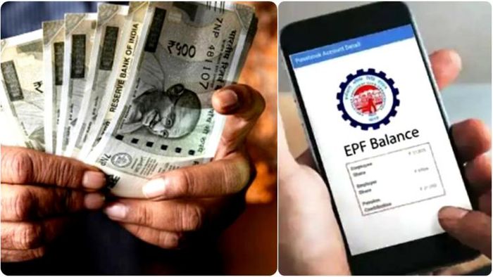 EPFO প্রভিডেন্ট ফান্ডে জমা করা আমানতের উপর ৮.১৫ শতাংশ হারে সুদ নির্ধারণ করেছে।