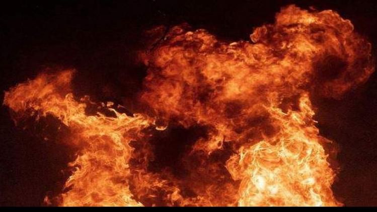 নাকতলায় বন্ধ ফ্ল্যাটে আগুন, জ্যান্ত পুড়ে মরল ৮ বিড়াল ও ১ কুকুর