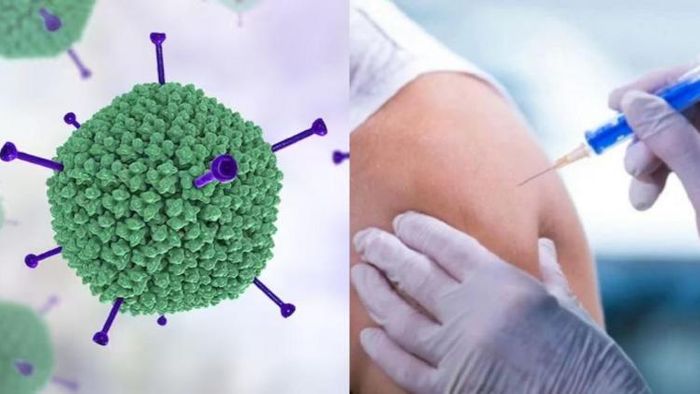 H3N2 ভাইরাস সংক্রমণ