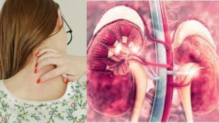 কিডনি রোগের আগে পিঠে ব্যথা এবং ত্বকে চুলকানি সহ শরীর এই লক্ষণগুলি দেয়