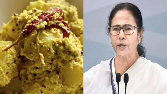 বাংলায় পোস্ত চাষে উদ্যোগী মমতা