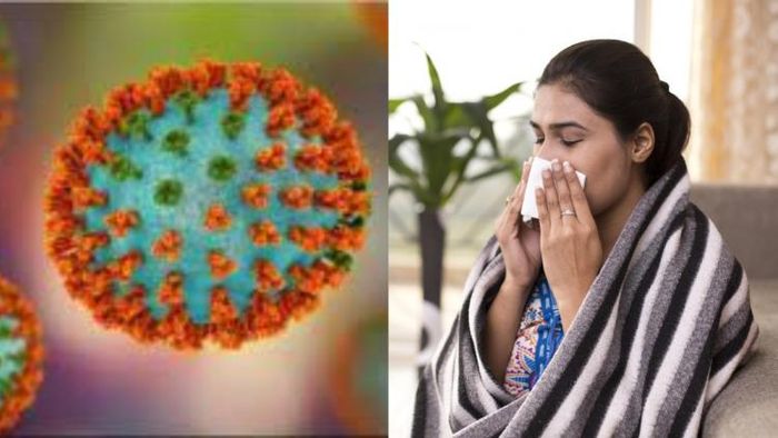 H3N2 ভাইরাসের লক্ষণ