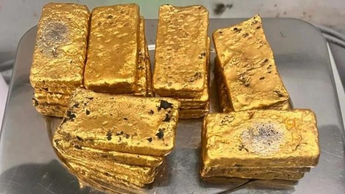 ফাইল ছবি।