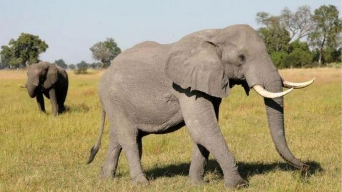 ফাইল ছবি।