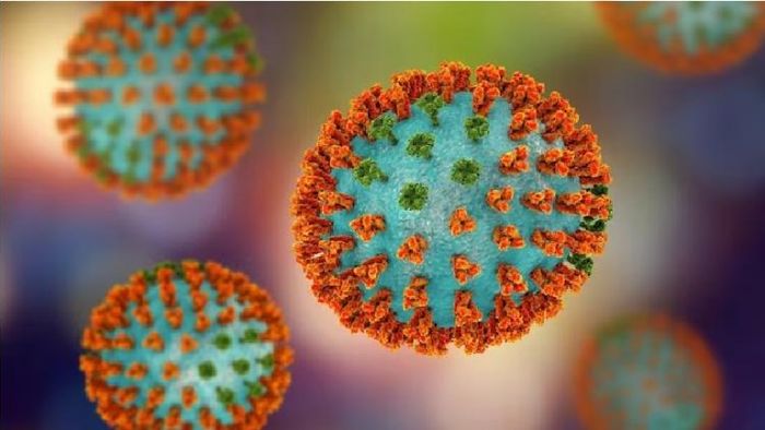 প্রতীকী ছবি।