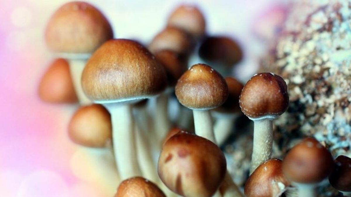 Qizni egib sikishdi Buzuq etuk porno rasmlar