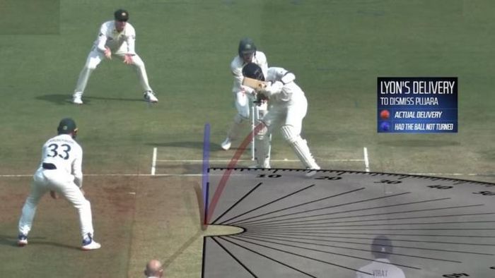 ভারতের উইকেট