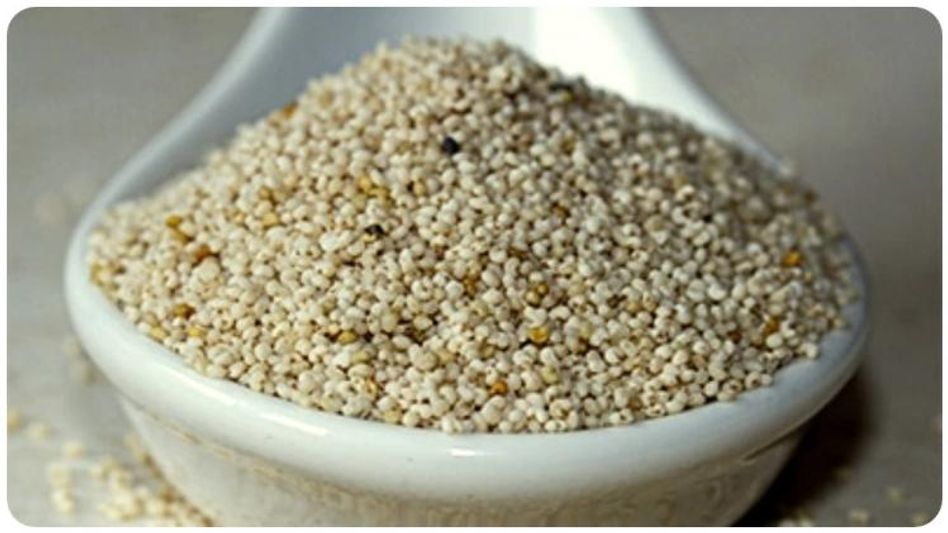 পোস্ত আসলে 'অলৌকিক' খাদ্য, কেন জানেন? রইল পোস্ত আসলে 'অলৌকিক' খাদ্য, কেন জানেন? রইল