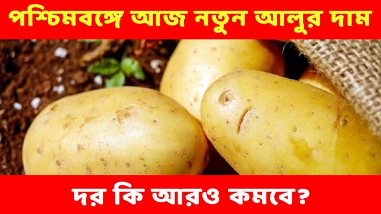 আজ নতুন আলুর দাম কত, স্টোরে বন্ড কত দরে কেনা-বেচা চলছে?