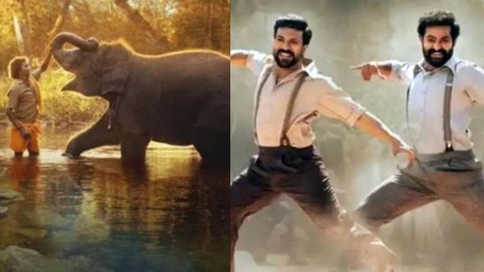 ২টি অস্কার পেল ভারত