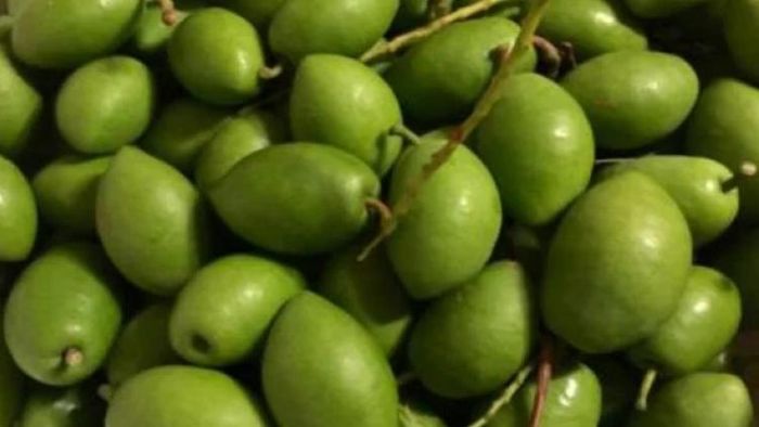 ক্যানসার, হার্টের রোগ, ডায়েবেটিস জব্দ থাকে সামান্য জলপাইতে, রোজ খান