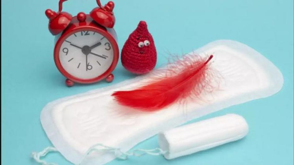 ৪ ঘণ্টার বেশি পরে থাকেন স্যানিটারি ন্যাপকিন? কতবার প্যাড বদলানো জরুরি জানুন ৪ ঘণ্টার বেশি পরে থাকেন স্যানিটারি ন্যাপকিন? কতবার প্যাড বদলানো জরুরি জানুন