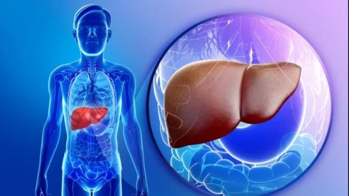 রোজকার অনিয়মে লিভার বেহাল? এই ৫ উপায়ে খাকুন সুস্থ