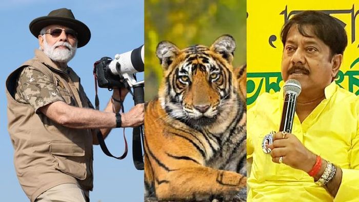 ফাইল ছবি।