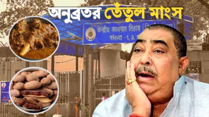 ফাইল ছবি।