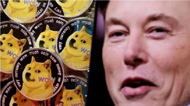 Twitter Logo: সরল Dogecoin, টুইটার লোগোয় ফিরল নীল পাখি