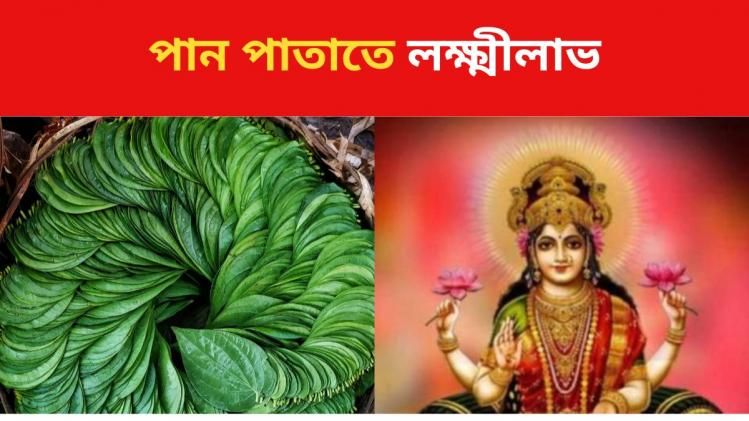 এই পাতা বাড়িতে আনলেই লক্ষ্মীলাভ, উপচে পড়বে ধনসম্পত্তি