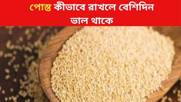 পোস্ত কত দিন পর্যন্ত খাওয়া যায়? গরমে কীভাবে বেশিদিন টাটকা রাখবেন?