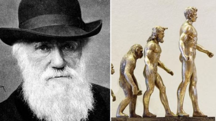 Darwin's evolution theory