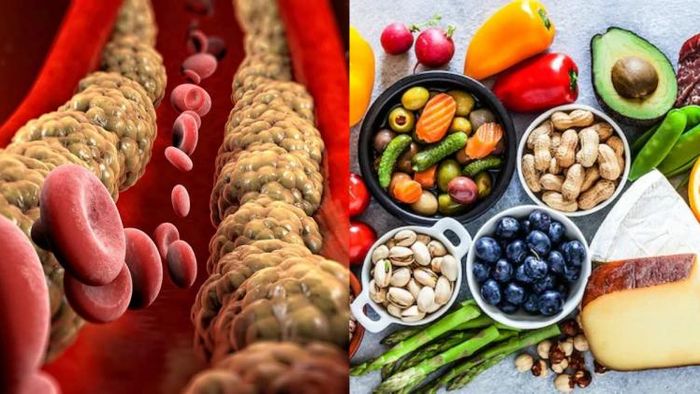 Good Cholesterol Foods: স্বাস্থ্যকর চর্বিযুক্ত খাবার এইচডিএল বাড়াতে সাহায্য করে