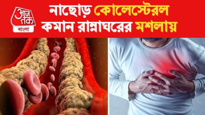 cholesterol control tips