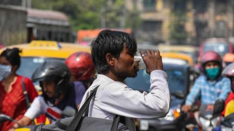 তাপপ্রবাহে বেশি জল খেলেও বিপদ? হার্ট-কিডনি ফেলিওরের আশঙ্কা, বলছেন ডাক্তার