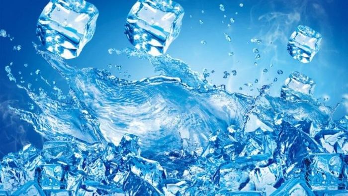 ফাইল ছবি।