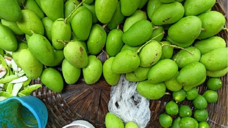 গরমের দুপুরে জিভে জল, কলকাতায় লস্যি, লেবুজলকে টেক্কা দিচ্ছে কাঁচা–মিঠে