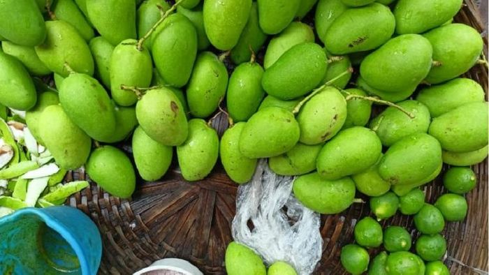 ফাইল ছবি।