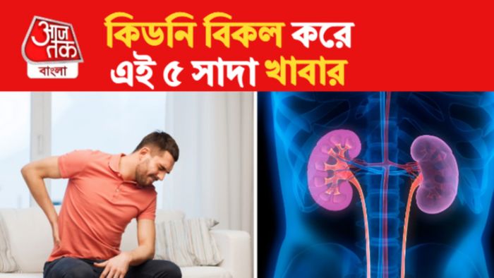 kidney damaging foods