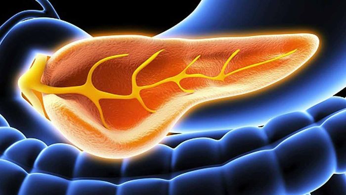 প্রতীকী ছবি