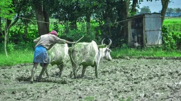 পিএম কিষাণ সম্মান নিধি যোজনা প্রকল্পের অধীনে শুধুমাত্র একটি নির্দিষ্ট শ্রেণীর কৃষকরা সুবিধা নিতে পারবেন।