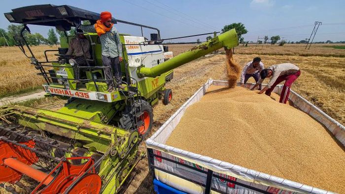 নিজস্ব কৃষি ব্যবসা শুরু করবেন? মোদী সরকার দেবে পুরো ১৫ লক্ষ টাকা