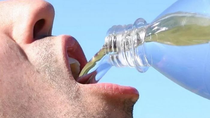 psychogenic polydipsia drink